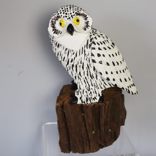 Mirosław Grygoruk - Snowy owl