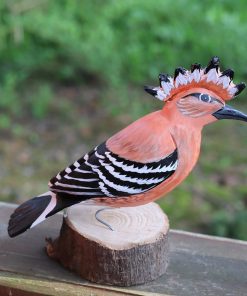 Agnieszka Głuszek - The Hoopoe bird