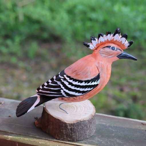 Agnieszka Głuszek - The Hoopoe bird