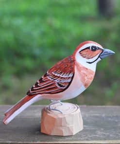 Agnieszka Głuszek - The Meadow bunting