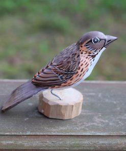 Agnieszka Głuszek - The Thrush songbird.