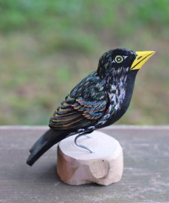 Agnieszka Głuszek - The Black starling