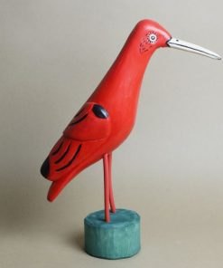 Sławomir Suchodolski - Ibis purpurowy