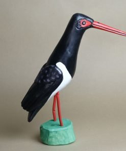 Sławomir Suchodolski - Bocian czarny